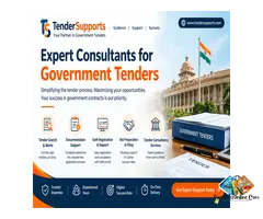 Tender Bidding Consultant