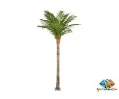 Shweta Enterprise - Artificial Plants & Grass