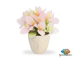 Shweta Enterprise - Artificial Plants & Grass