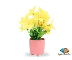 Shweta Enterprise - Artificial Plants & Grass