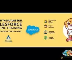 AlmaMate Info Tech - Best Salesforce Training / 1