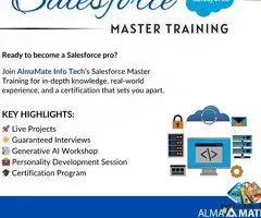 AlmaMate Info Tech - Best Salesforce Training / 2