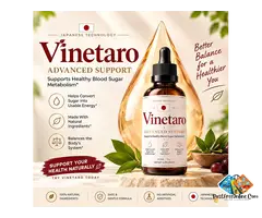 Vinetaro Review: Is It Worth Trying in 2026?