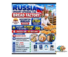 Russia Bred Factory Urgent Opening