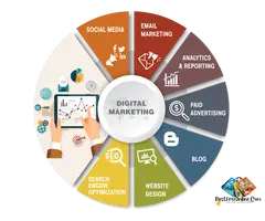 Who Can Help Turn Digital Plans Into Practical Business Improvements?