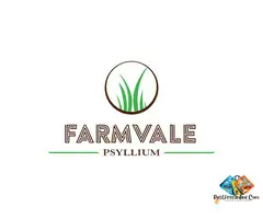 Psyllium Companies in Russia: Reliable Psyllium Suppliers from India