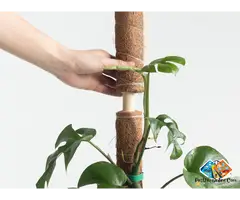 Coco Coir Pole - Vantide Bamboo