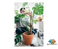 Coco Coir Pole - Vantide Bamboo