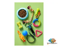 Pet accessories available at best price in mumbai