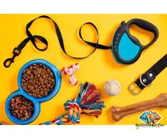 Pet accessories available at best price in mumbai