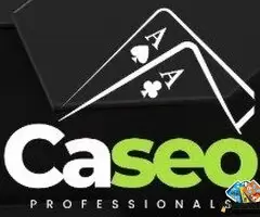 Powerful Growth with Paid Advertisement Services – Reach Your Audience Fast / 1