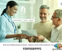 Vitamin D Test in Delhi – Simple, Reliable &amp; Affordable / 1