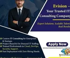 Searching for the Right IT Consulting Partner - Evision Technoserve / 1