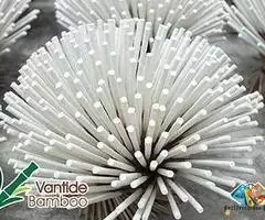 Fiberglass Plant Stake - Vantidebamboo.com / 1