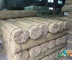 Fiberglass Plant Stake - Vantidebamboo.com / 3