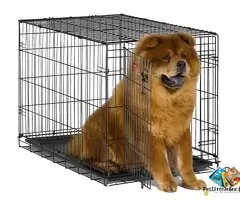 Pet Cage Double Door Heavy Duty Folding Metal Cage Removal Tray for Small Size Dogs and Puppies, Cat / 2