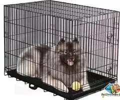 Pet Cage Double Door Heavy Duty Folding Metal Cage Removal Tray for Small Size Dogs and Puppies, Cat / 3