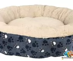 Plush Cushion Beds for Dogs Suitable for Extra Small Breeds During Winters, 70 cm, Blue/Beige / 5