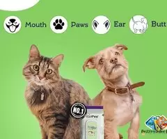 PUPPEE Wipe ME 100% Biodegradable 96 Count (Pack of 2) Wet Wipes for Dogs, Cats &amp; All Pets | Lav / 4