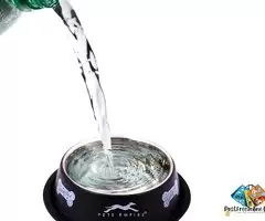 Dog Bowl| Anti-Skid Stainless Steel Bowls for Puppy and Cat | Food &amp; Water Bowl | Cat Bowl | Gif / 5