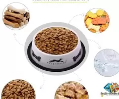 Dog Bowl| Anti-Skid Stainless Steel Bowls for Puppy and Cat | Food &amp; Water Bowl | Cat Bowl | Gif / 7