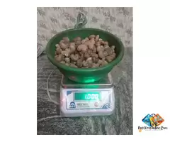 THE BEST MOHALI CHANDIGARH RAW CASHEW NUTS TRADER 7550251115-WHOLESALER / 1