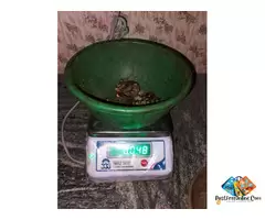 THE BEST MOHALI CHANDIGARH RAW CASHEW NUTS TRADER 7550251115-WHOLESALER / 2