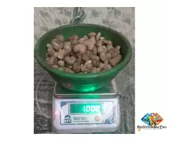 THE BEST MOHALI CHANDIGARH RAW CASHEW NUTS TRADER 7550251115-WHOLESALER / 5