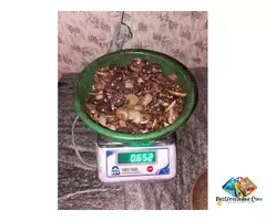 THE BEST MOHALI CHANDIGARH RAW CASHEW NUTS TRADER 7550251115-WHOLESALER / 6