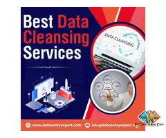 Best Data Cleansing Services at Affordable Prices / 1