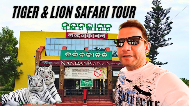 Nandankanan Zoological Park   3rd Largest Zoo of India | Bhubaneswar | Tiger & Lion Safari Tour