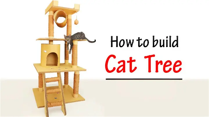 How do you create a DIY cat tree or climbing structure?