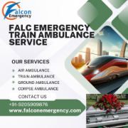 Falcon Emergency